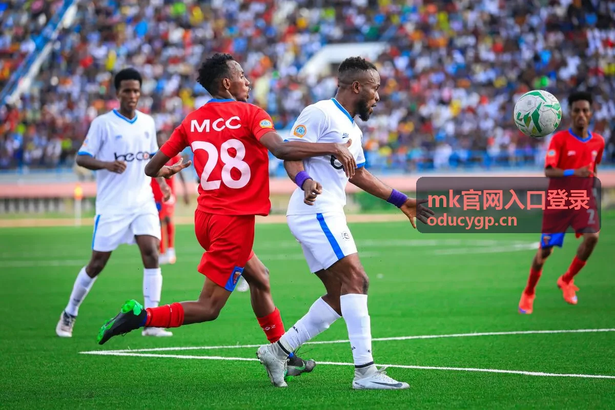 mk官网入口登录地址核对操作画面