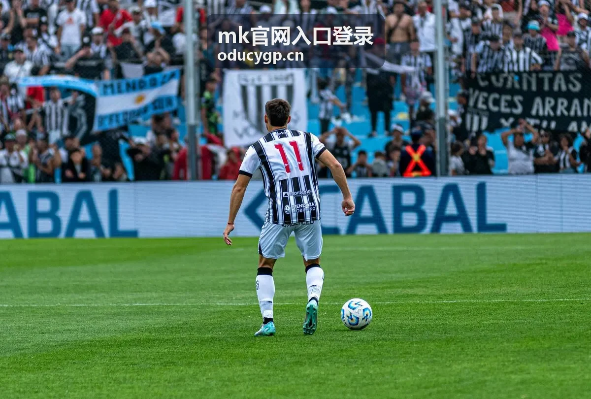mk官网入口登录入口核对与账号检查示意