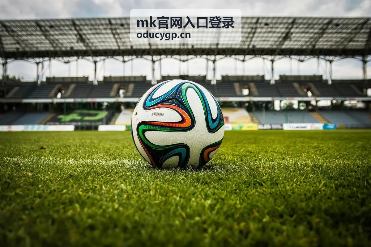 mk官网入口登录信息列表配图